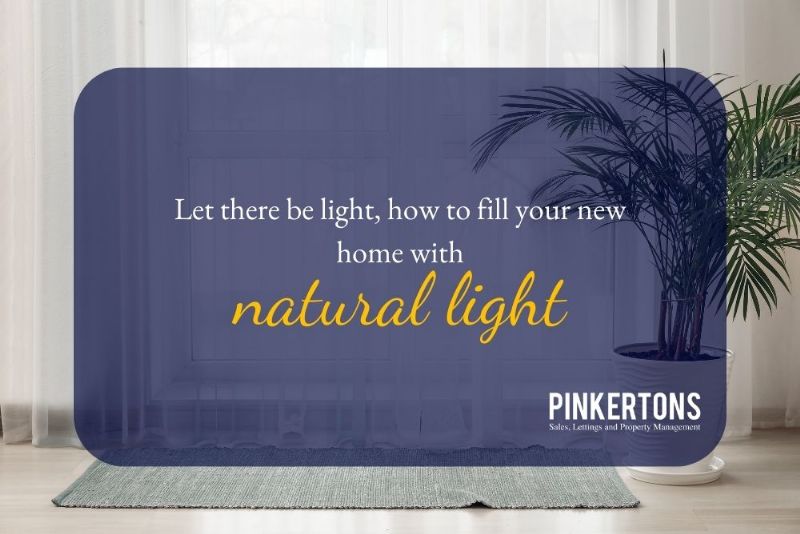 Let there be light: how to fill your new home with natural light